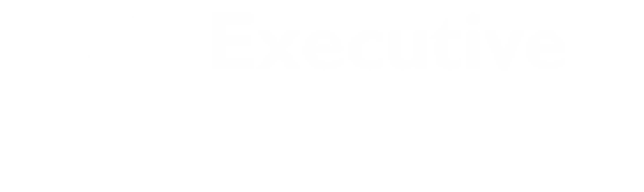 Executive Search