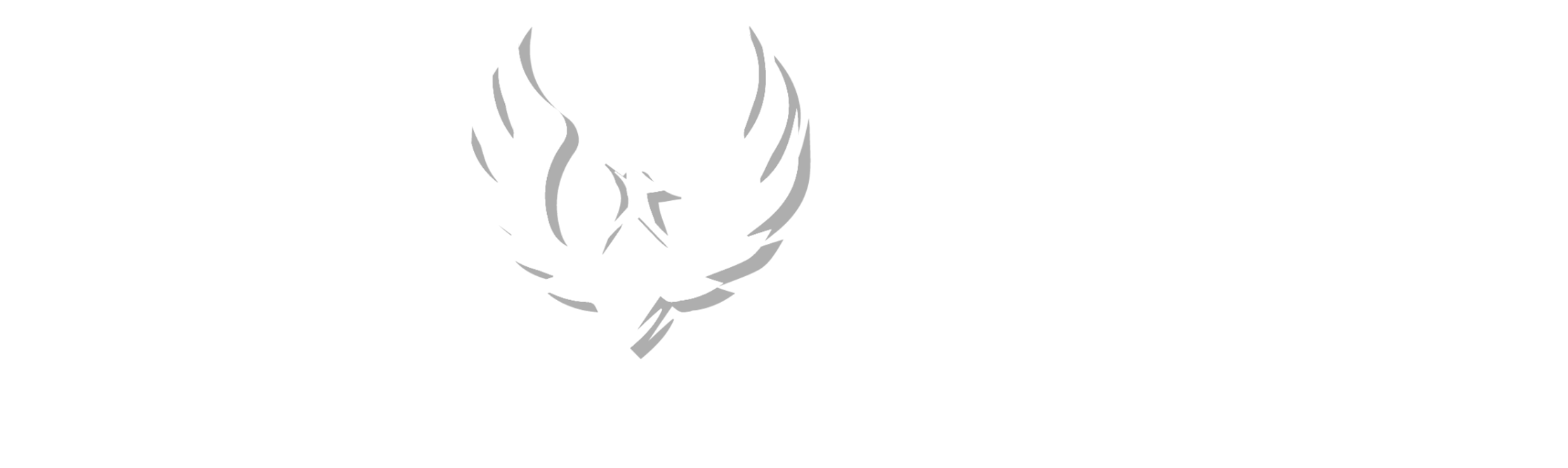 Phoenix Homes